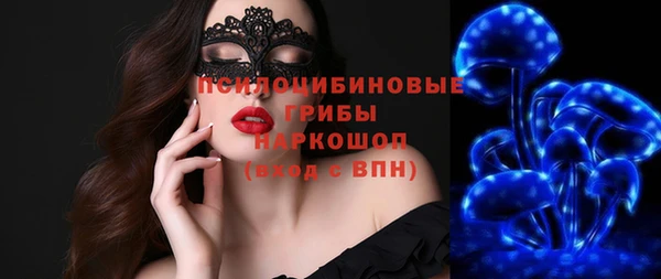 винт Рославль