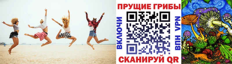 Купить закладки  Казань  Галлюциногенные грибы MAGIC MUSHROOMS 